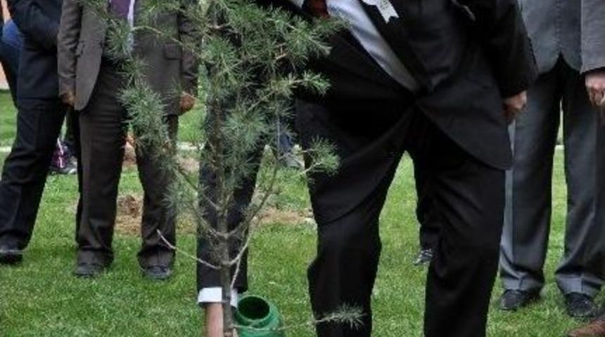 Kayseri Yeşilleniyor