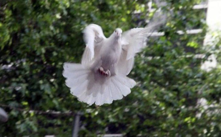 Gezi Eylemlerinin Yıldönümü G5