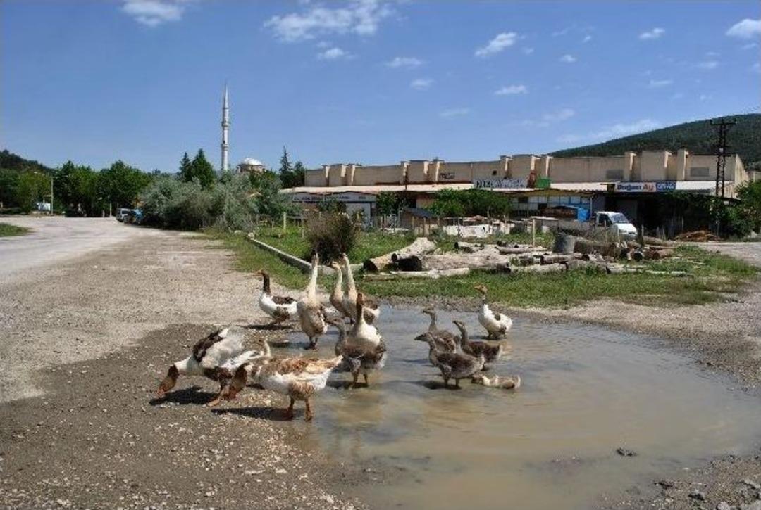 Tavuk &Ccedil;iftliği Gibi Sanayi Sitesi