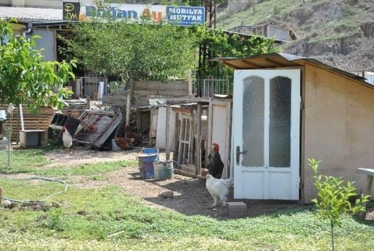 Tavuk Çiftliği Gibi Sanayi Sitesi G2