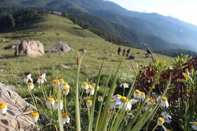 Anamas’ta Baharın Son Esintileri