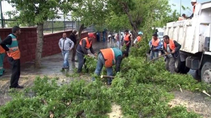 Erzurum&rsquo;da Fırtına Ağa&ccedil;ları Devirdi