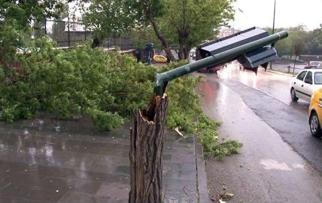 Erzurum’da Fırtına Ağaçları Devirdi