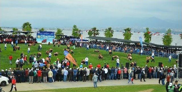 Sekapark Yağlı Güreşleri Başladı