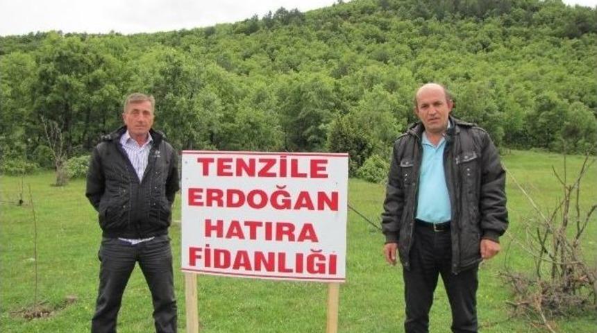 Başbakanın Annesi Tenzile Erdoğan İ&ccedil;in Hatıra Fidanlığı