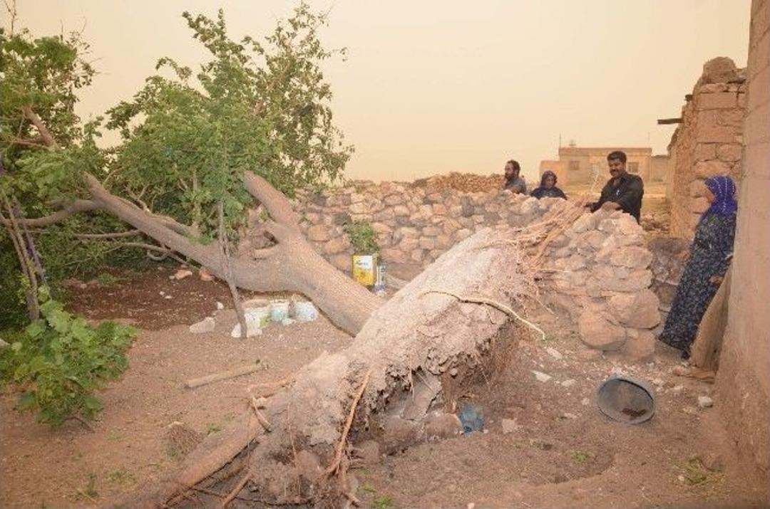 Viranşehir'de Kum Fırtınası Ve Hortum: 1 Yaralı