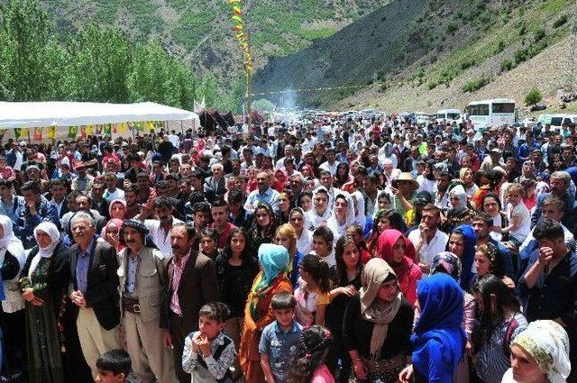 Çatak Kanisipi Alabalık, Bal, Ceviz Ve Doğa Festivali