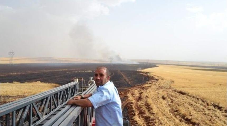 Şanlıurfa&rsquo;da Bin 500 D&ouml;n&uuml;ml&uuml;k Ekili Alan K&uuml;l Oldu