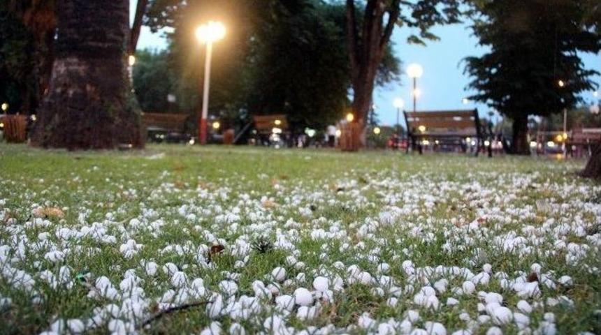 Samsun&rsquo;a Fındık B&uuml;y&uuml;kl&uuml;ğ&uuml;nde Dolu Yağdı