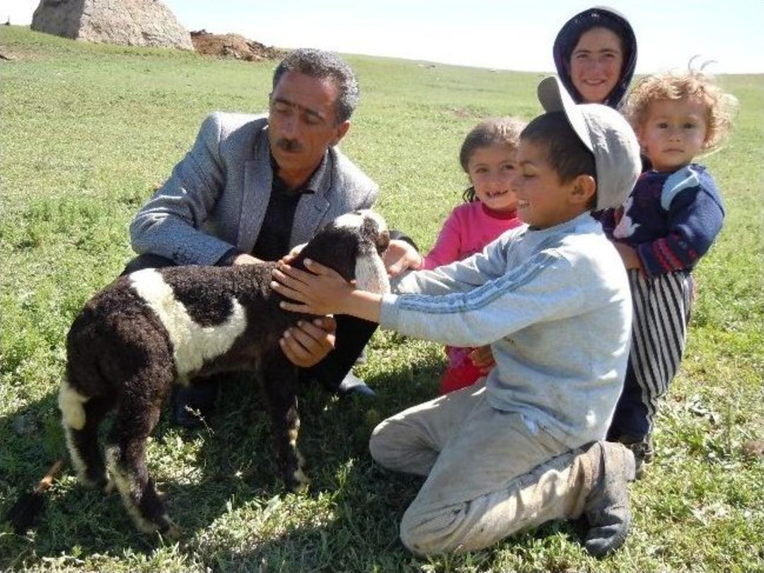 İkiz Ke&ccedil;iler K&ouml;y&uuml;n Maskotu Oldu