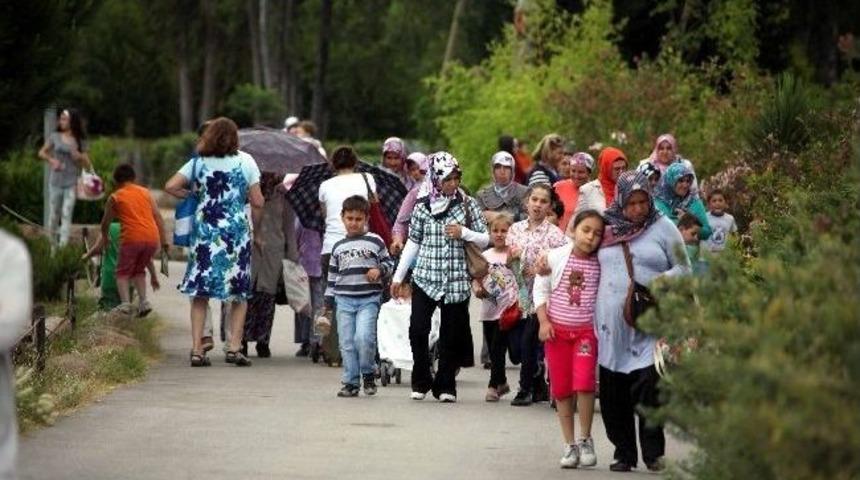 Karne Hediyesi Hayvanat Bah&ccedil;esi