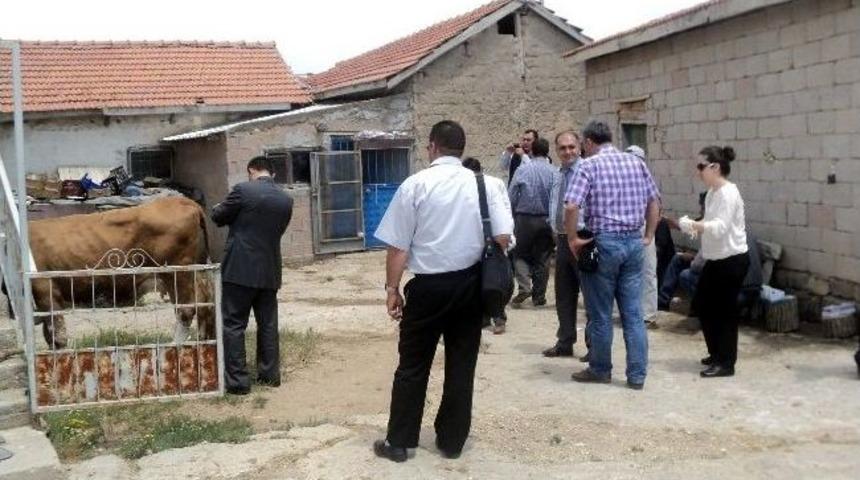 (&ouml;zel Haber) Sığırlarda &Ccedil;i&ccedil;ek Hastalığına Dikkat