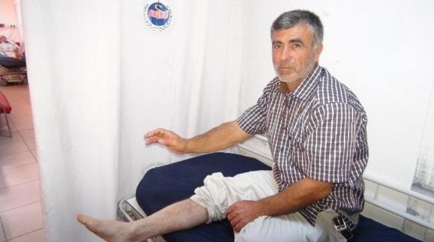 Aynı Anda İki Akrep Soktu