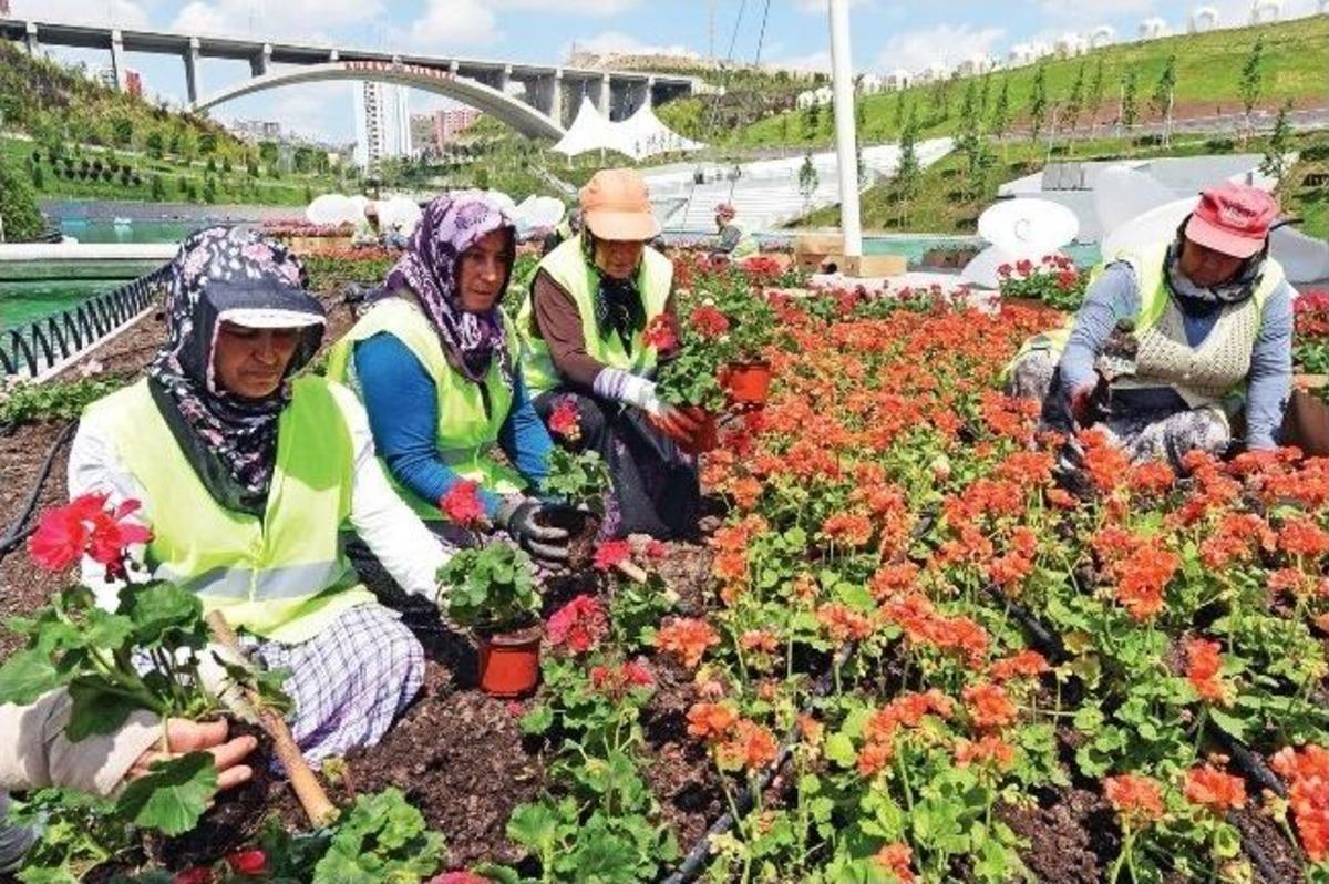 Ankara &Ccedil;i&ccedil;eklerle Bir Başka G&uuml;zel