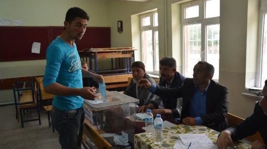 Bağlama Tekrar Sandığa Gitti