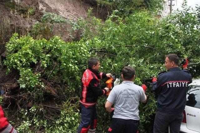 Aşırı Yağışlar Ereğli’de Heyelana Yol Açtı