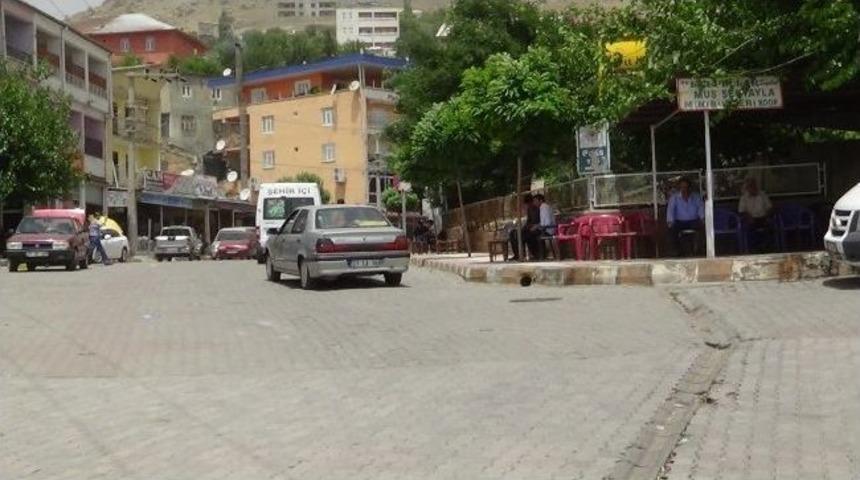 Kulp İl&ccedil;esini Toz Bulutu Kapladı