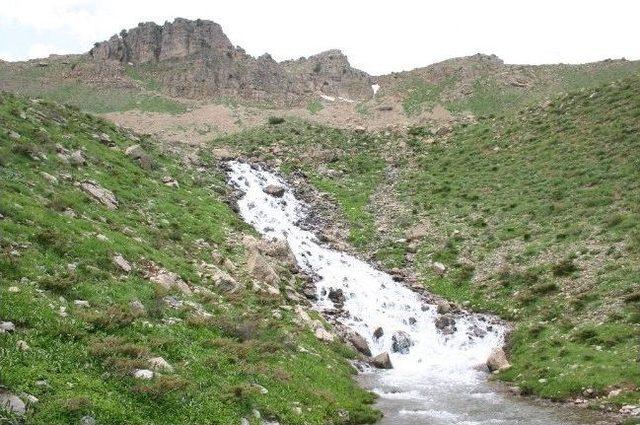 Herekol Dağı'nda Barış Festivali Hazırlığı