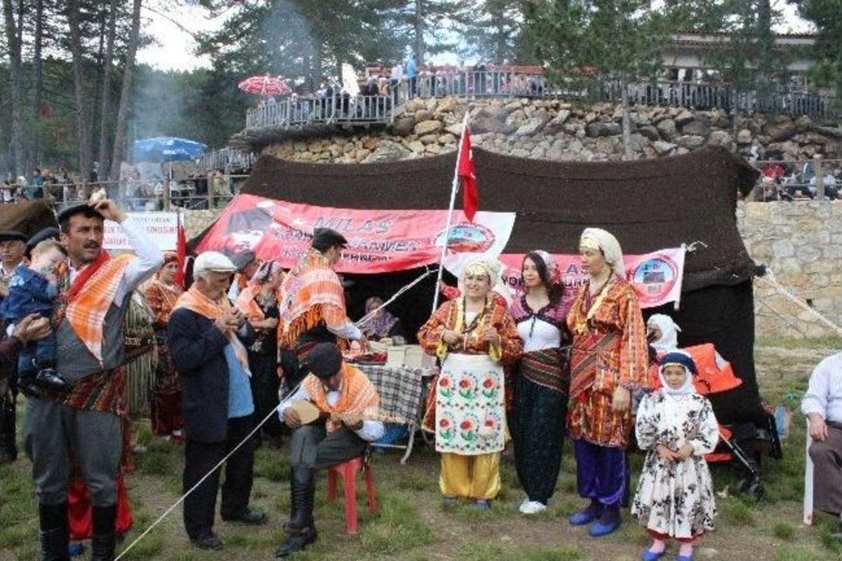 30 Bin Y&ouml;r&uuml;k Şenlikte Buluştu