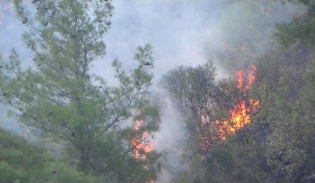 Hatay&rsquo;da Orman Yangını