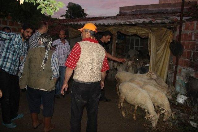 Tire de &Ccedil;ıkan Ev Yangını Korkuttu 2