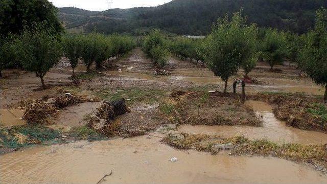 Bursa Ovası Sular Altında 2