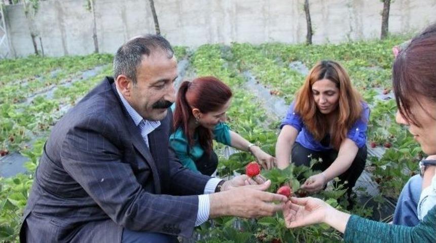 Eş Başkan &Ccedil;oban Bikad-koop'u Ziyaret Etti