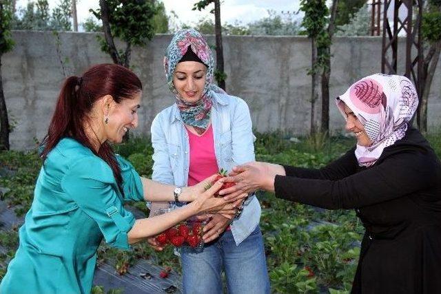 Eş Başkan &Ccedil;oban Bikad-koop u Ziyaret Etti 1