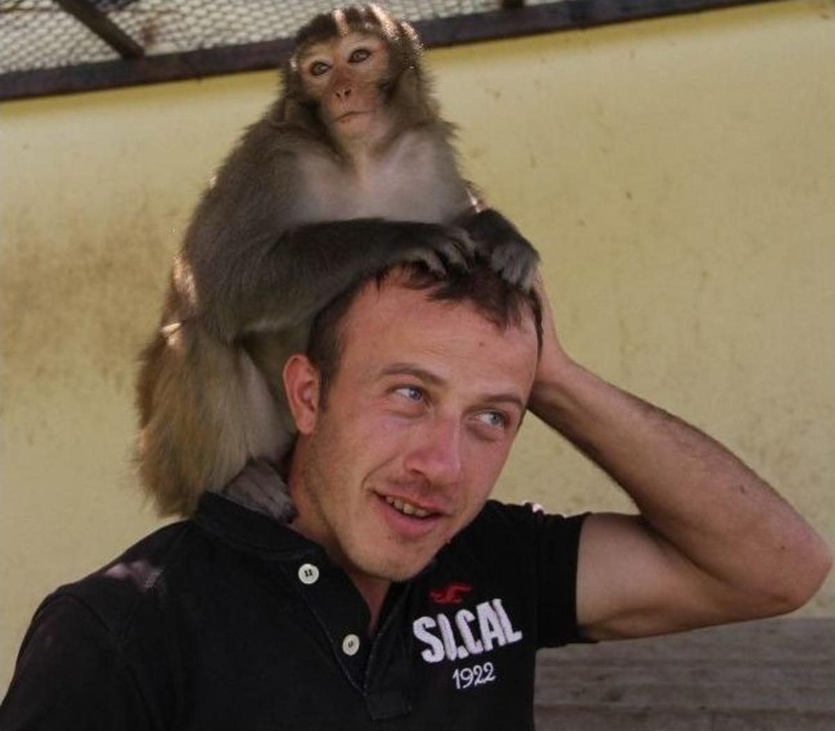 (&ouml;zel Haber) Maymun &Ccedil;iko, G&uuml;zellik Uzmanlığına Soyundu