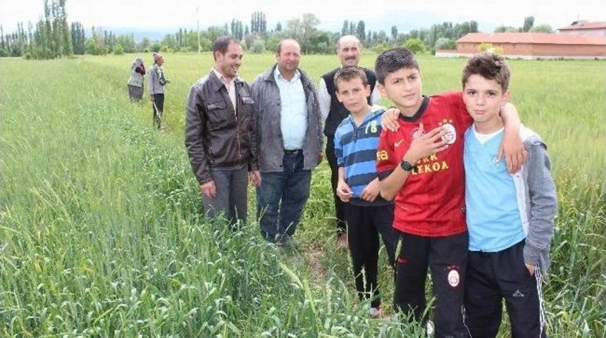 (&ouml;zel Haber) Mayıs Yağmurları &Uuml;reticinin Y&uuml;z&uuml;n&uuml; G&uuml;ld&uuml;rd&uuml;