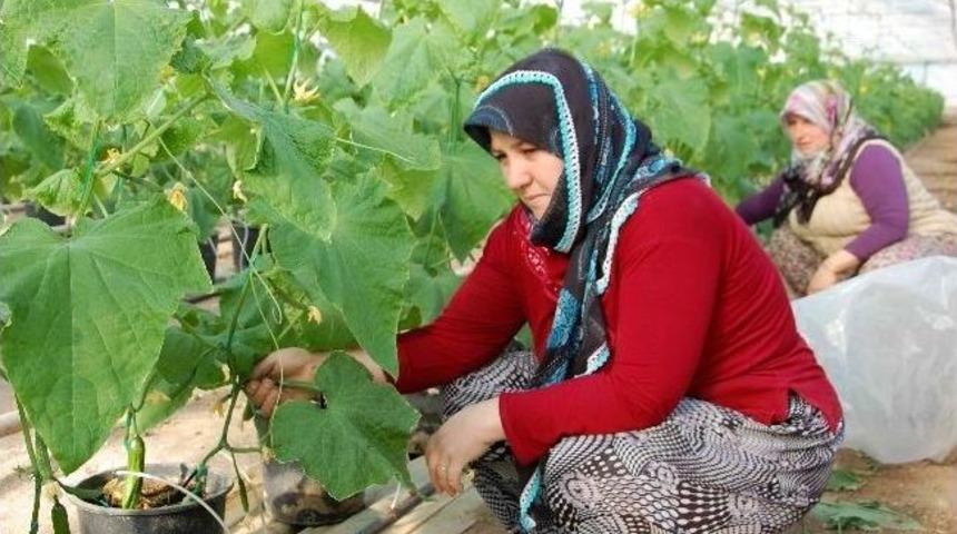 160 Derecelik Sıcak Su Simav&rsquo;da G&uuml;neşe Rakip Oldu