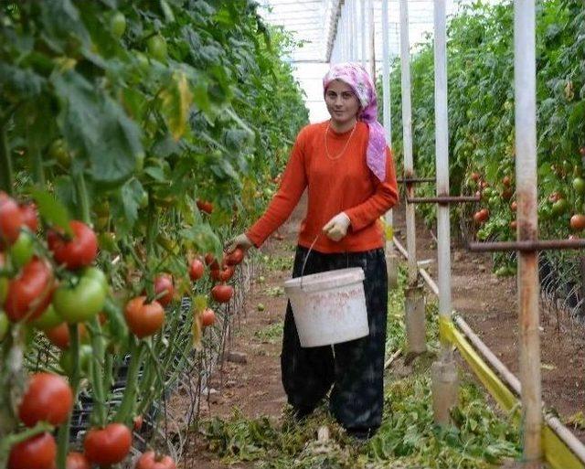 160 Derecelik Sıcak Su Simav’da Güneşe Rakip Oldu