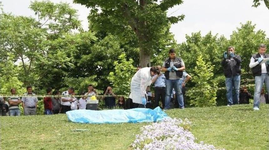 Gezi Parkı&rsquo;nda Bulunan Cesedin Kimliği Belirlendi