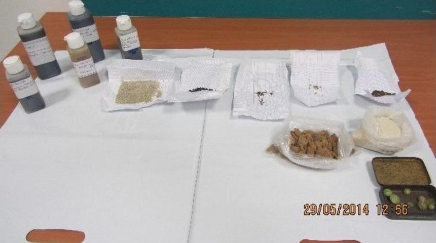 Fransa&rsquo;ya Endemik Bitki Ka&ccedil;ırmaya &Ccedil;alışan Bir Kişi Yakalandı