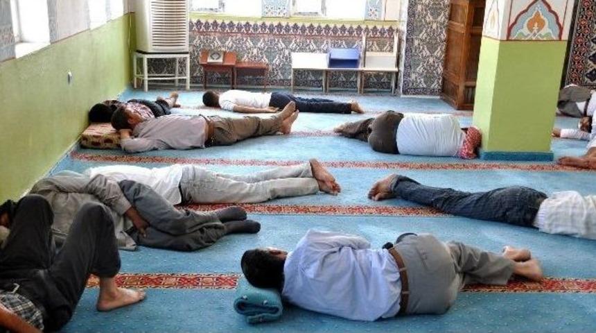 Şanlıurfa'da 'camilerde Yatmayın' Uyarısı
