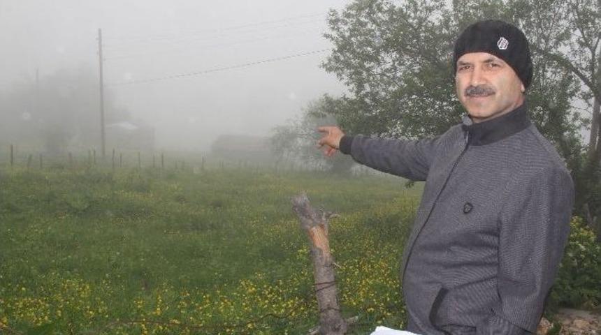 K&ouml;y&uuml; &Ouml;nce '2b', Sonra Mera Kanunu Vurdu