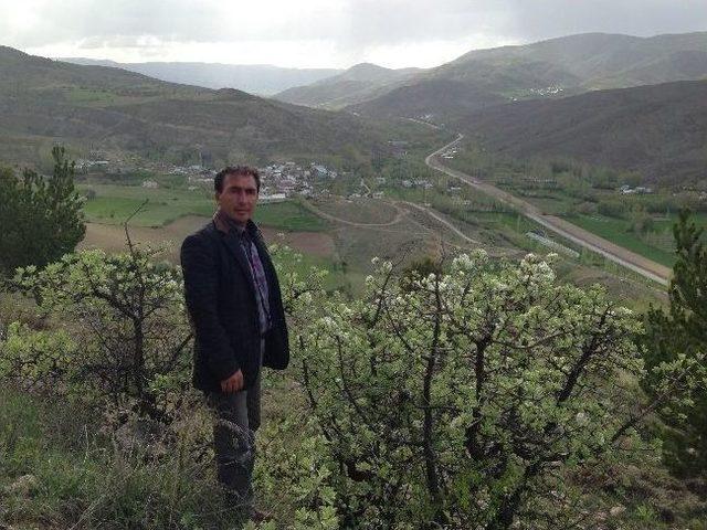 G&uuml;m&uuml;şhane nin Kelkit İl&ccedil;esinde 6 Metrelik Yılan Kabusu 3