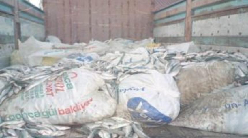 Jandarmadan Ka&ccedil;ak Balık Operasyonu