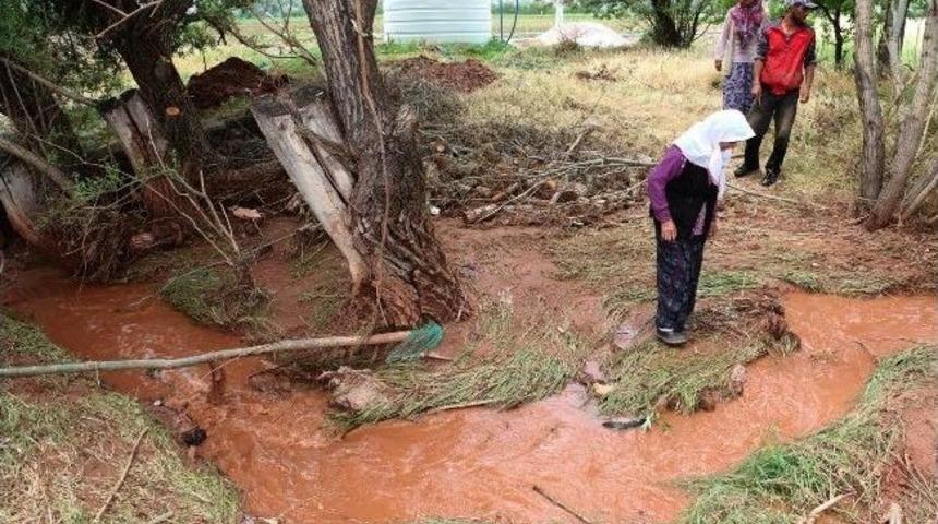 Aksaray&rsquo;da Sele Belediye M&uuml;dahalesi