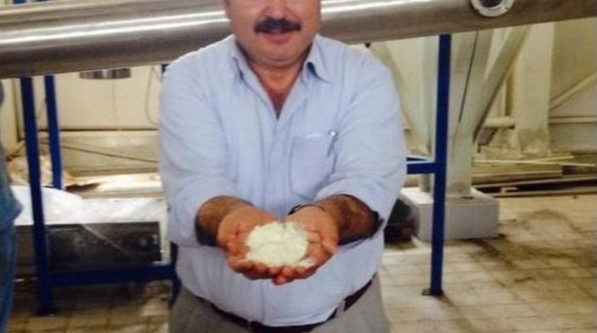 Bolvadin S&uuml;t Tozu Fabrikasında İlk &Uuml;r&uuml;n Alındı