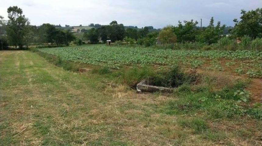 Tavşanı Yakalamak İsterken Canından Oldu