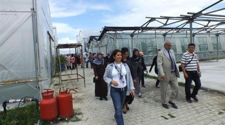 Tarımsal N&uuml;fus Gen&ccedil;leşiyor