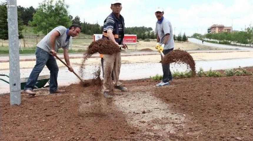 Odunpazarı&rsquo;nda &Uuml;st Yapı &Ccedil;alışmaları