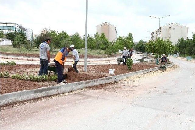 Odunpazarı’nda Üst Yapı Çalışmaları