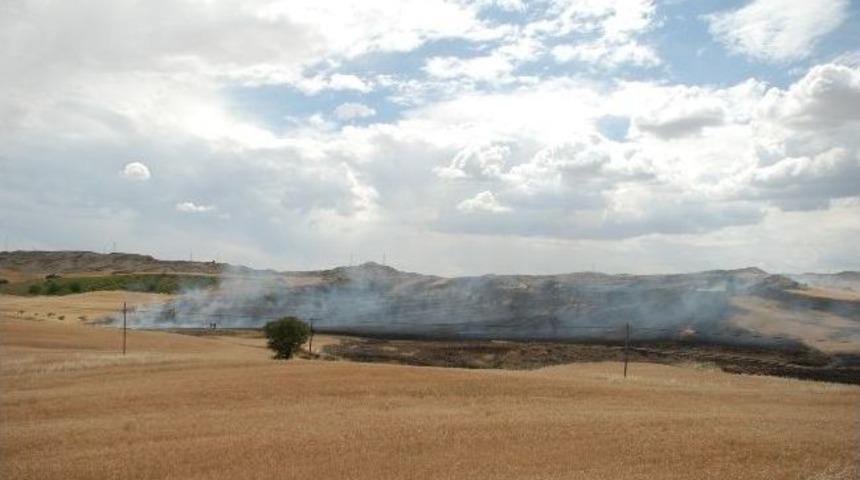 Adıyaman&rsquo;da 100 D&ouml;n&uuml;m Ekili Alan K&uuml;l Oldu
