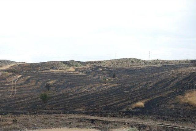 Adıyaman’da 100 Dönüm Ekili Alan Kül Oldu