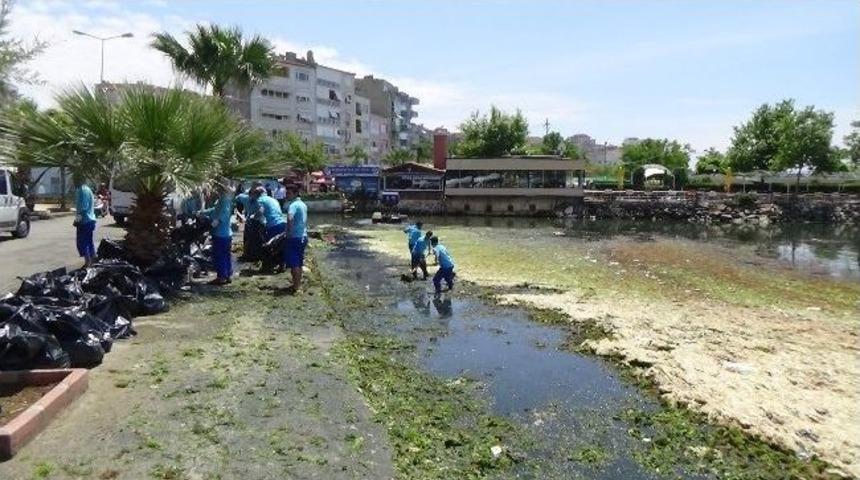 (&ouml;zel Haber) Silivri Sahili Yosunlardan Temizleniyor
