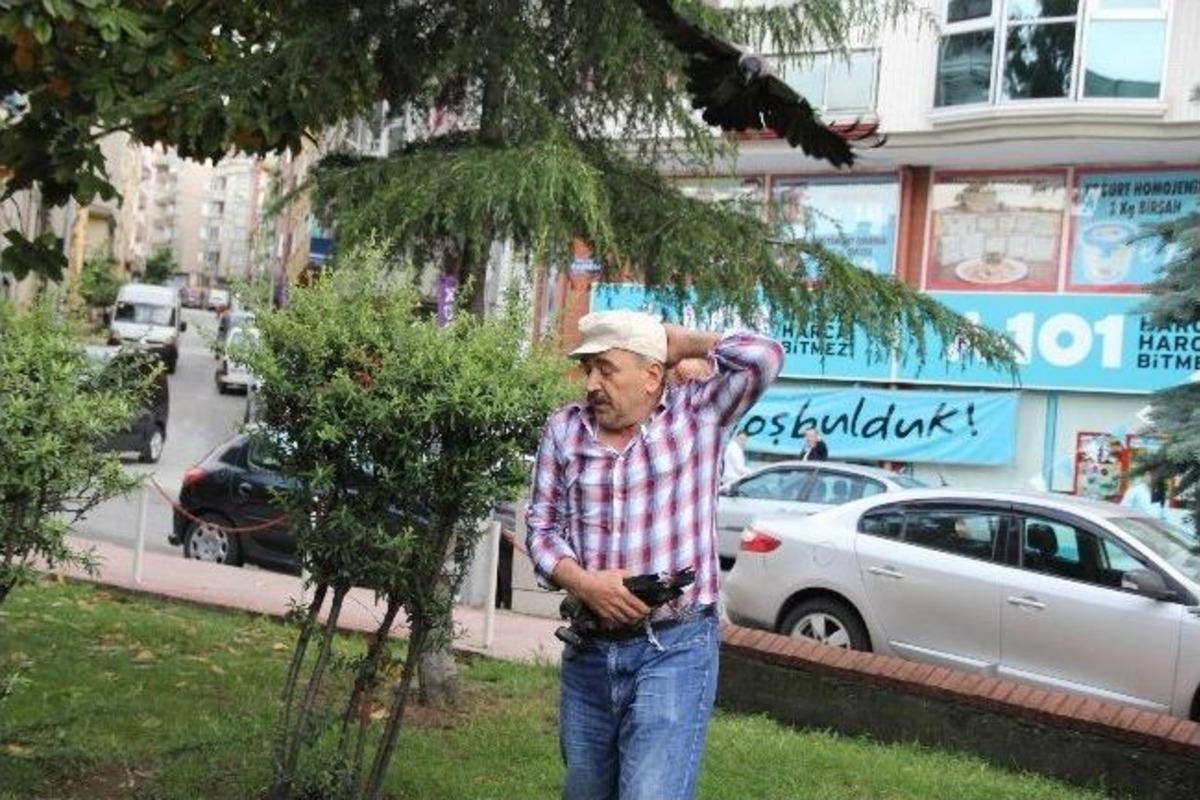 Kargalar Vatandaşlara Saldırdı
