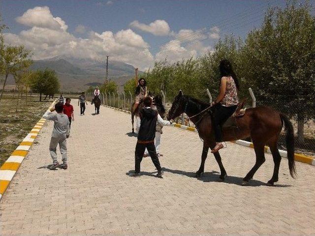 Sultansazlığı, Binicilik Meraklılarını Bekliyor 1