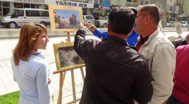Hakkari&rsquo;de &lsquo;soma Faciası&rsquo; Sergisi 3
